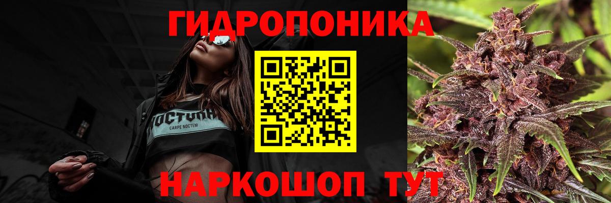 Канабис гибрид  Бошки Шишки Bruce Banner  Шишки марихуана планчик  Вход с VPN  Курск  Марихуана конопля 